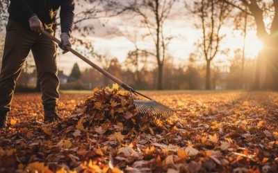 Mantenimiento de jardines en otoño
