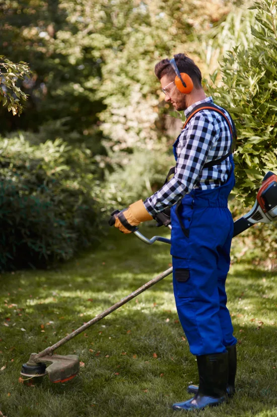 Mantenimiento de jardines Sevilla Mantenimiento de jardines Sevilla