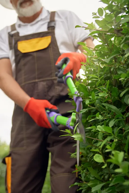 servicio de jardinero en sevilla