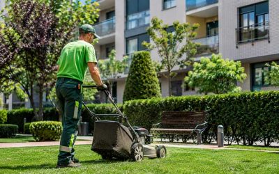 Servicios indispensables en el mantenimiento de jardines en Sevilla