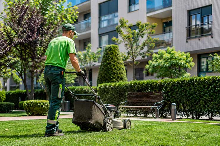 Mantenimiento de jardines comunitarios en Sevilla: ¿Qué debe incluir?